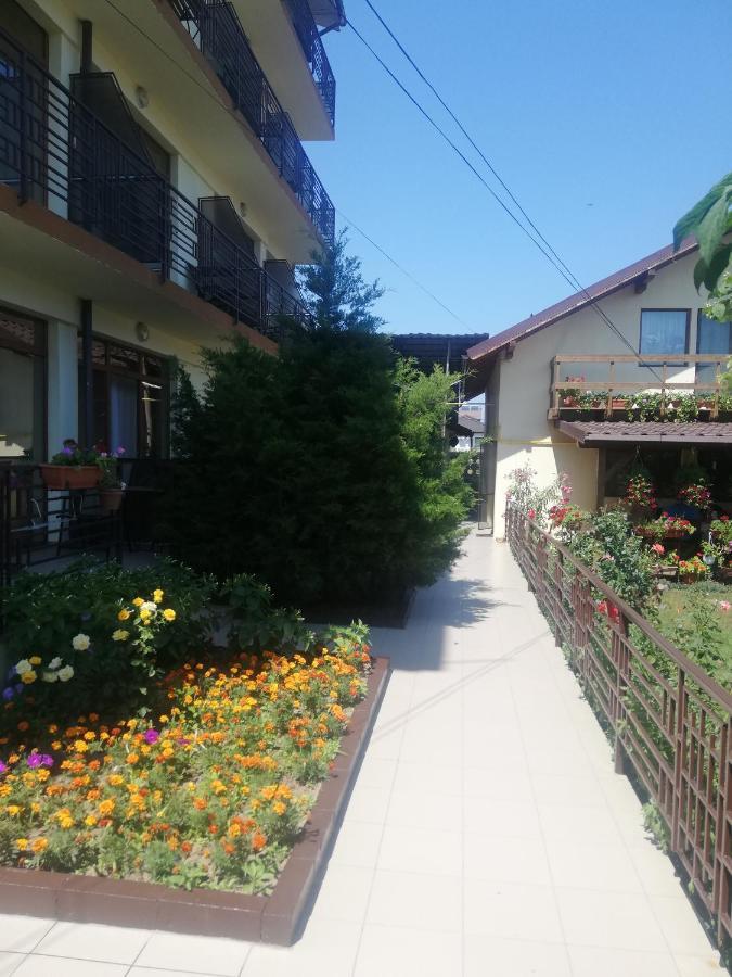 Villa Pescarus Costinesti Zewnętrze zdjęcie